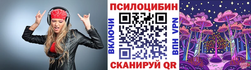 Псилоцибиновые грибы Psilocybine cubensis Чкаловск