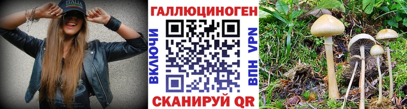 Галлюциногенные грибы мицелий  darknet какой сайт  Чкаловск 